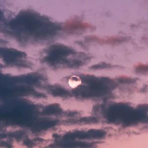 欧美❌❌❌❌高潮
